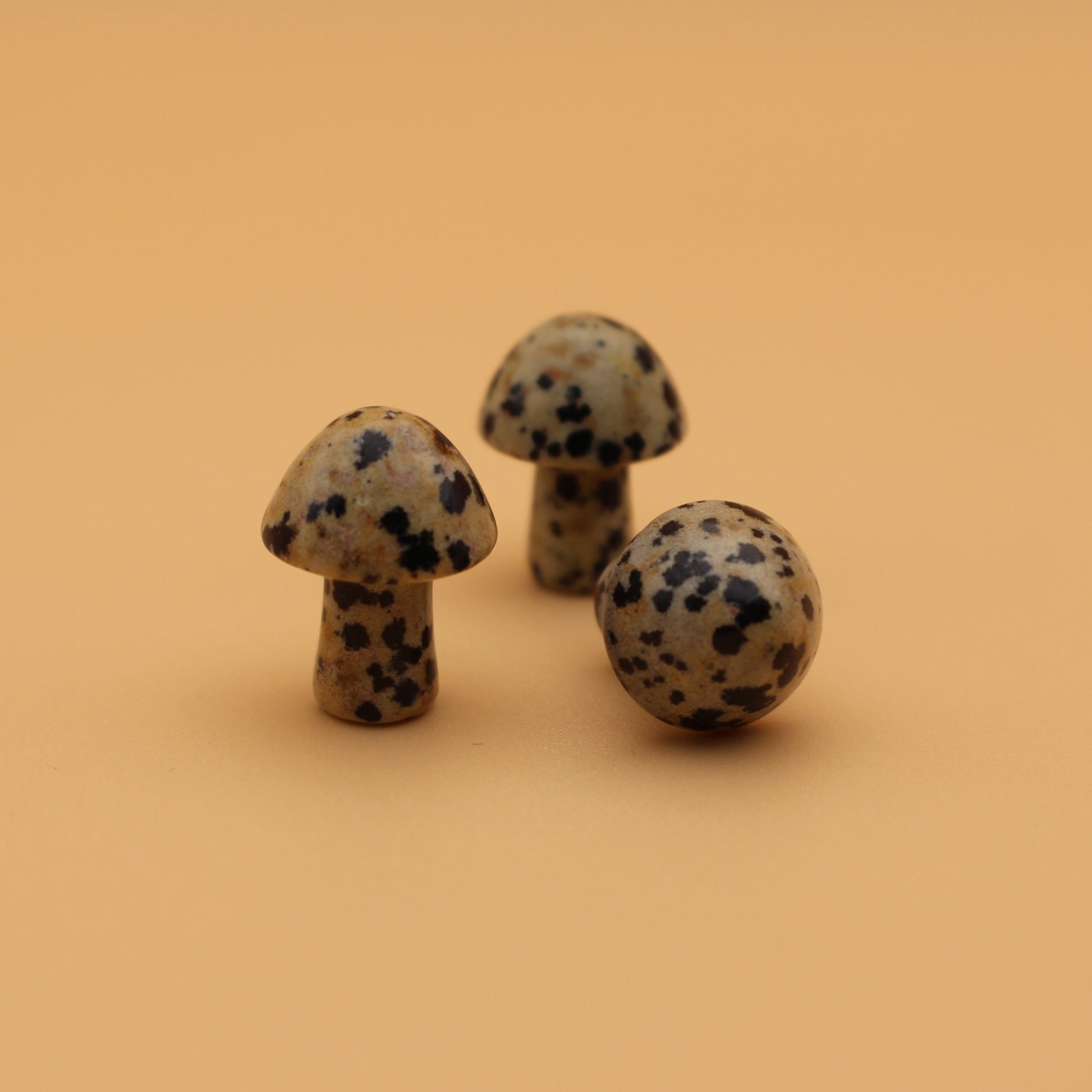 Spotted Jaspis Kristall-Pilz – Stabilität & Erdung