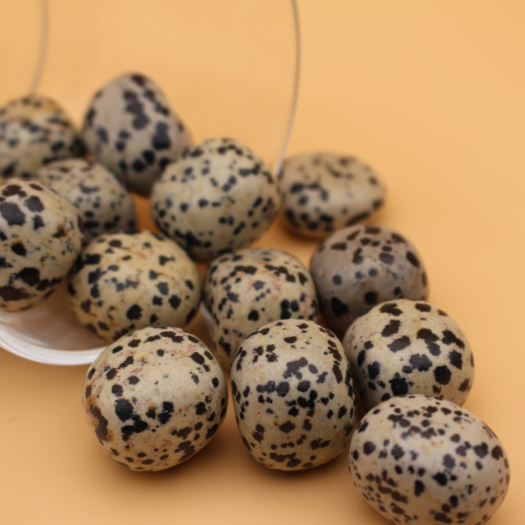 Pietra levigata di diaspro dalmata – Pietra di gioia e radicamento
