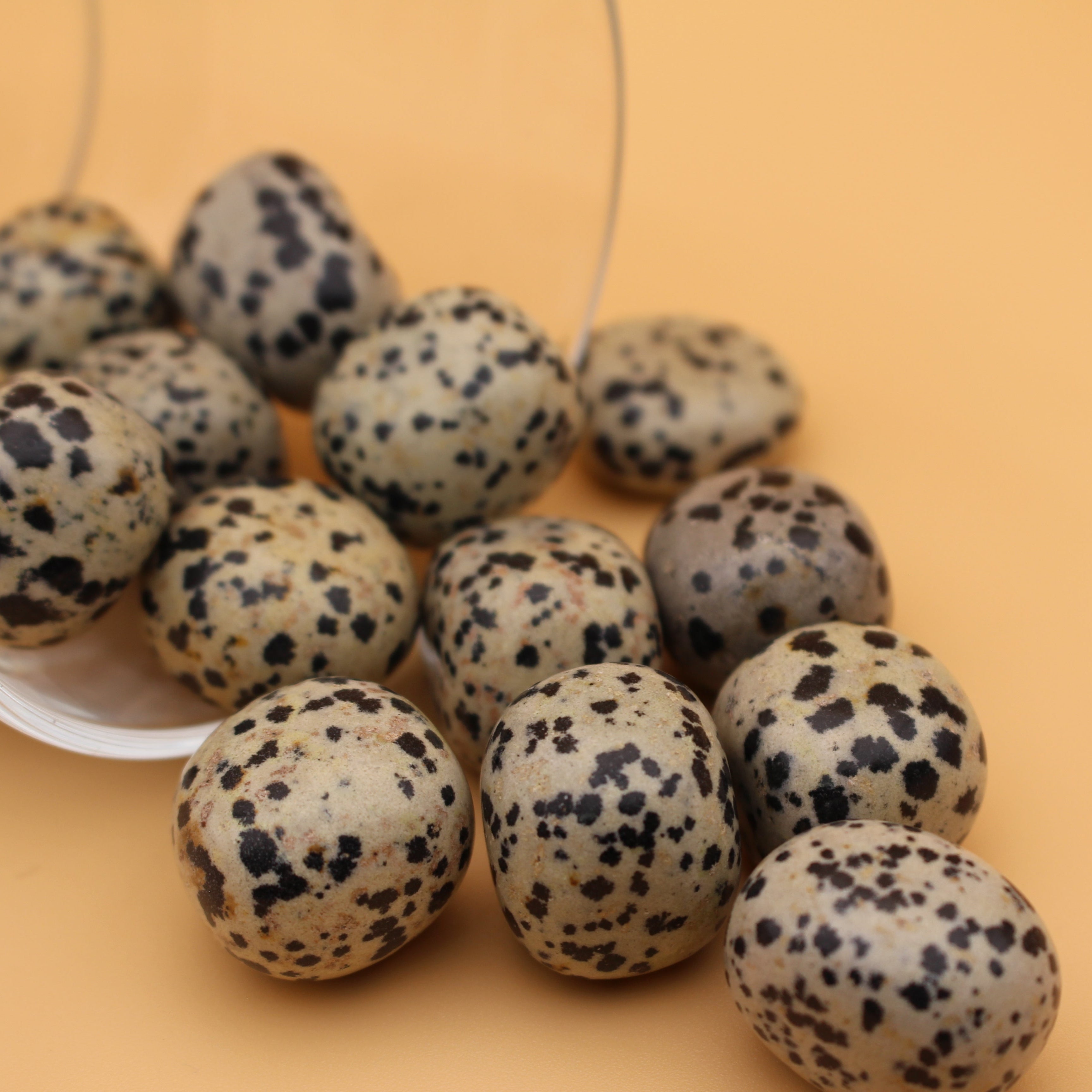 Pietra levigata di diaspro dalmata – Pietra di gioia e radicamento
