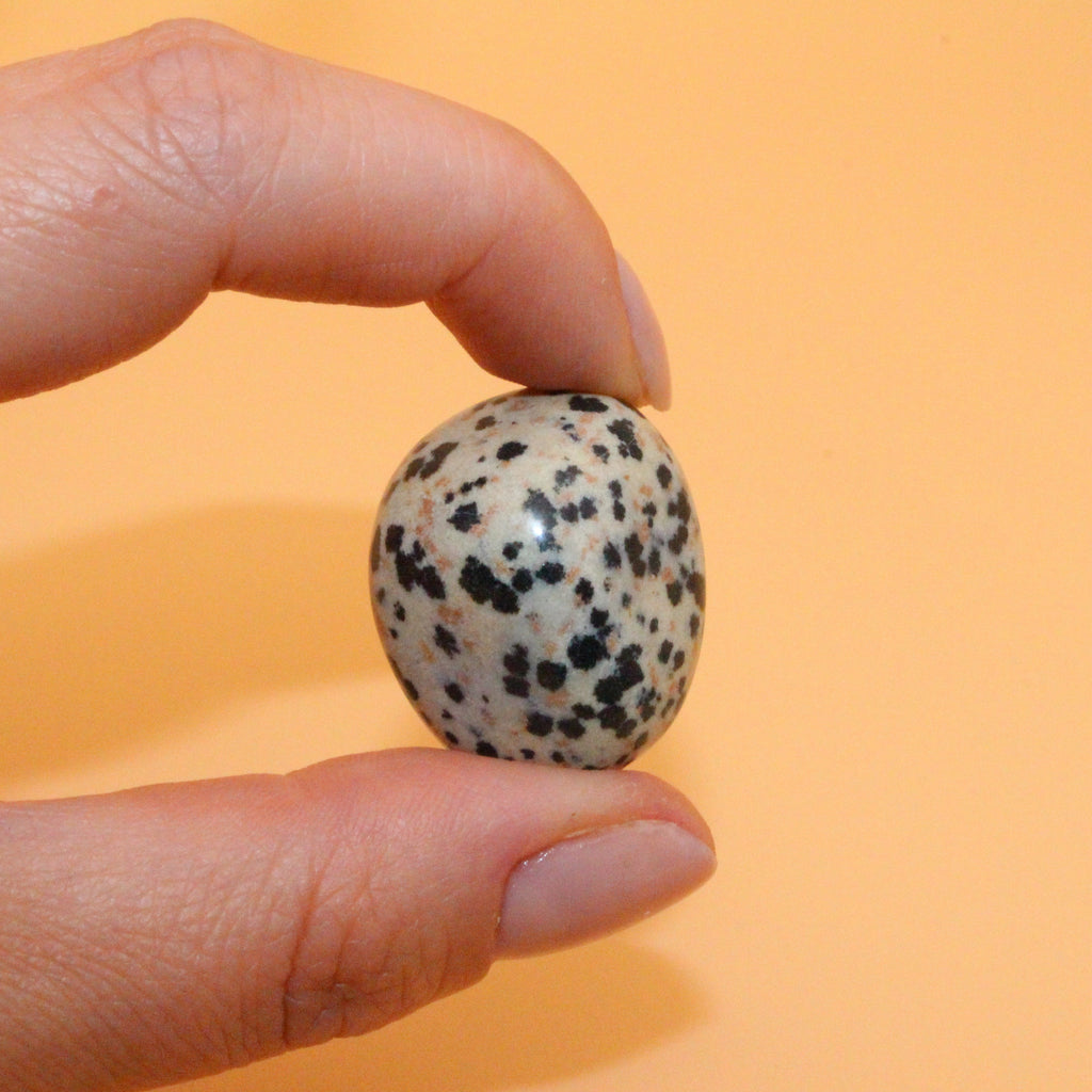 Pietra levigata di diaspro dalmata – Pietra di gioia e radicamento