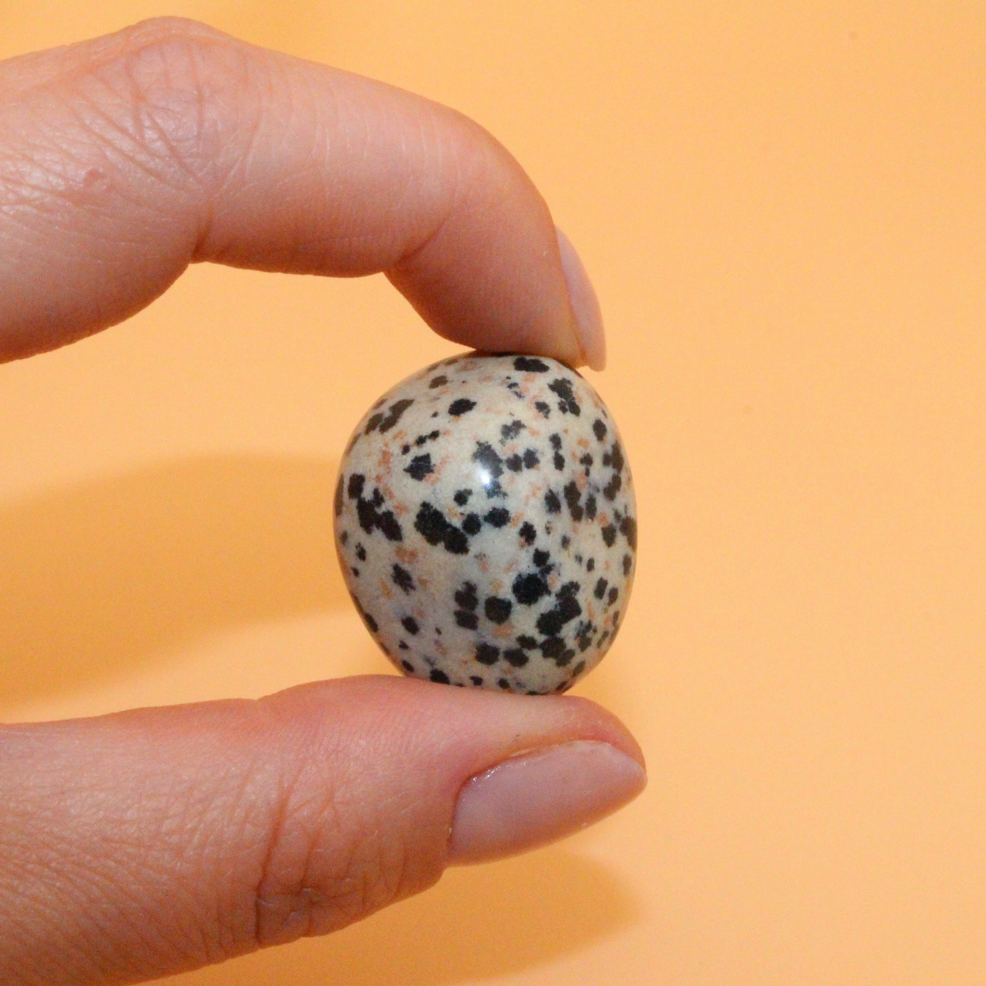 Pietra levigata di diaspro dalmata – Pietra di gioia e radicamento