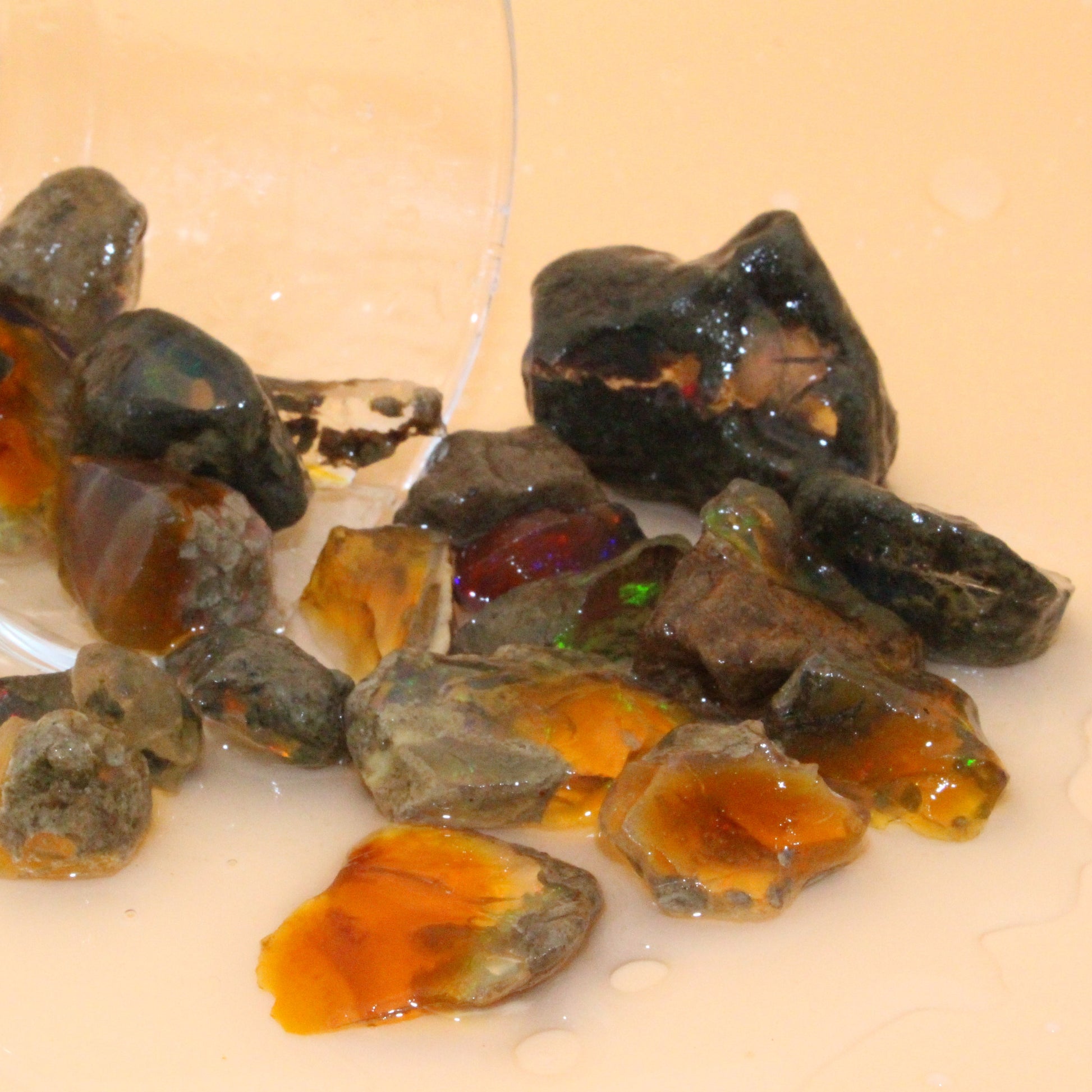 Ethiopian Water Opal – Feuer & Licht im feuchten Farbspiel