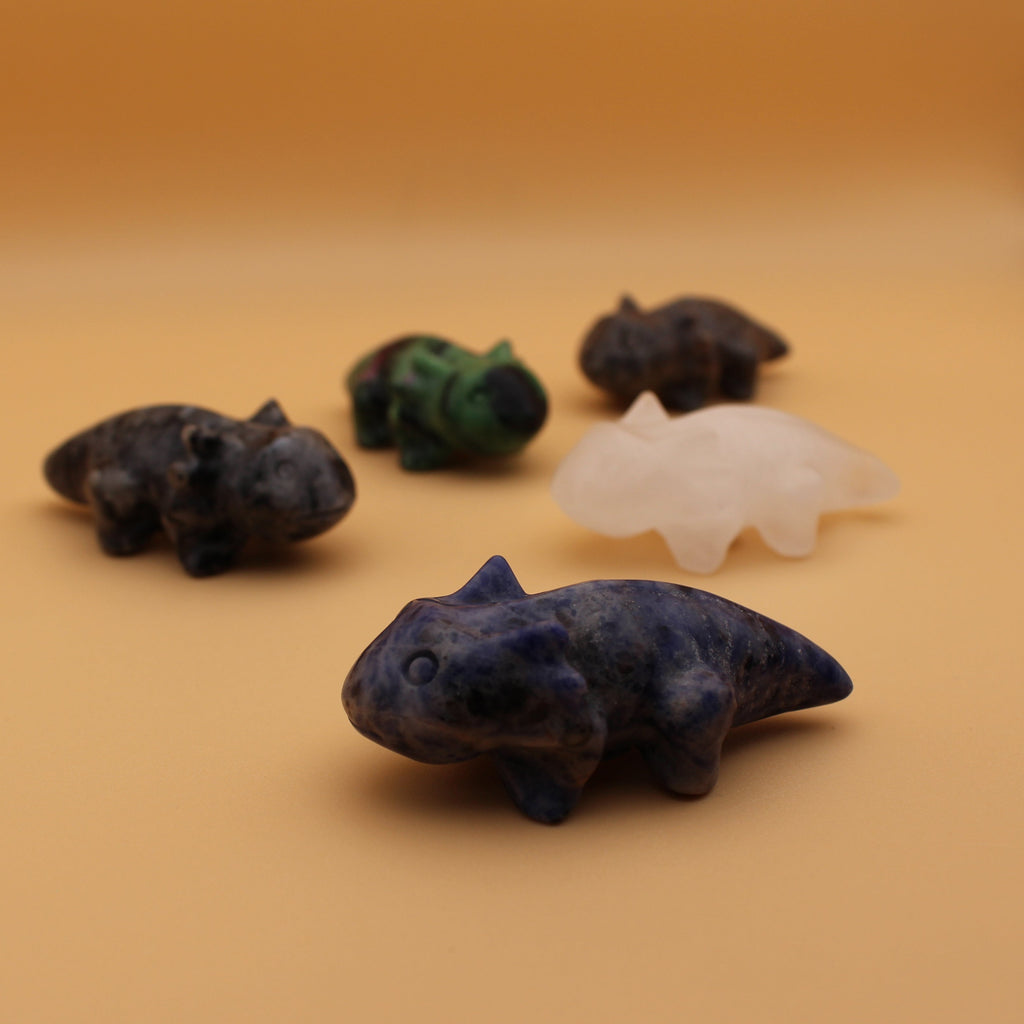 Crystal Salamander – Symbol of renewal &amp; transformative power