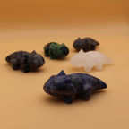Crystal Salamander – Symbol of renewal &amp; transformative power