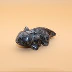 Crystal Salamander – Symbol of renewal &amp; transformative power
