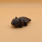 Crystal Salamander – Symbol of renewal &amp; transformative power