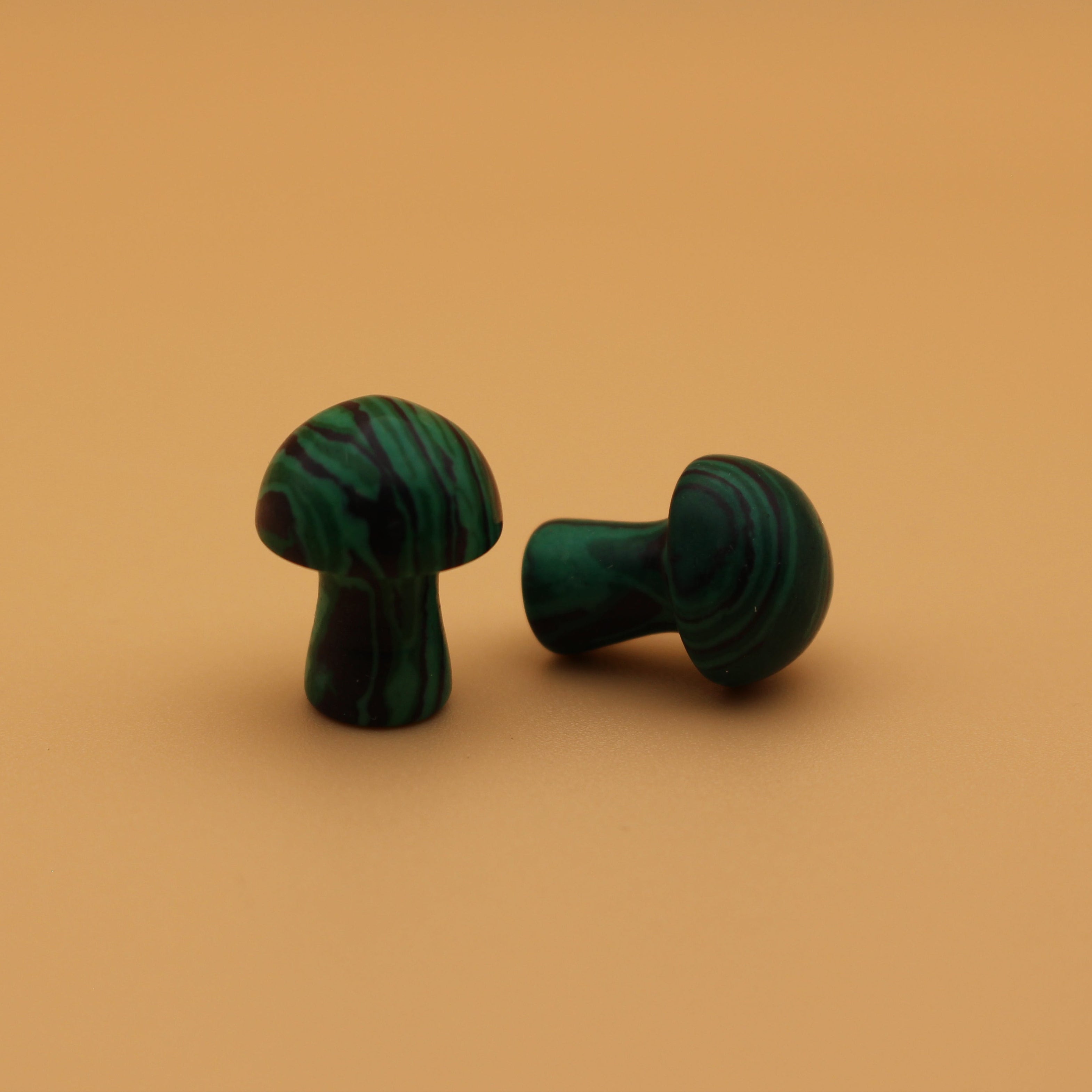 Fungo di cristallo di malachite – Trasformazione e protezione