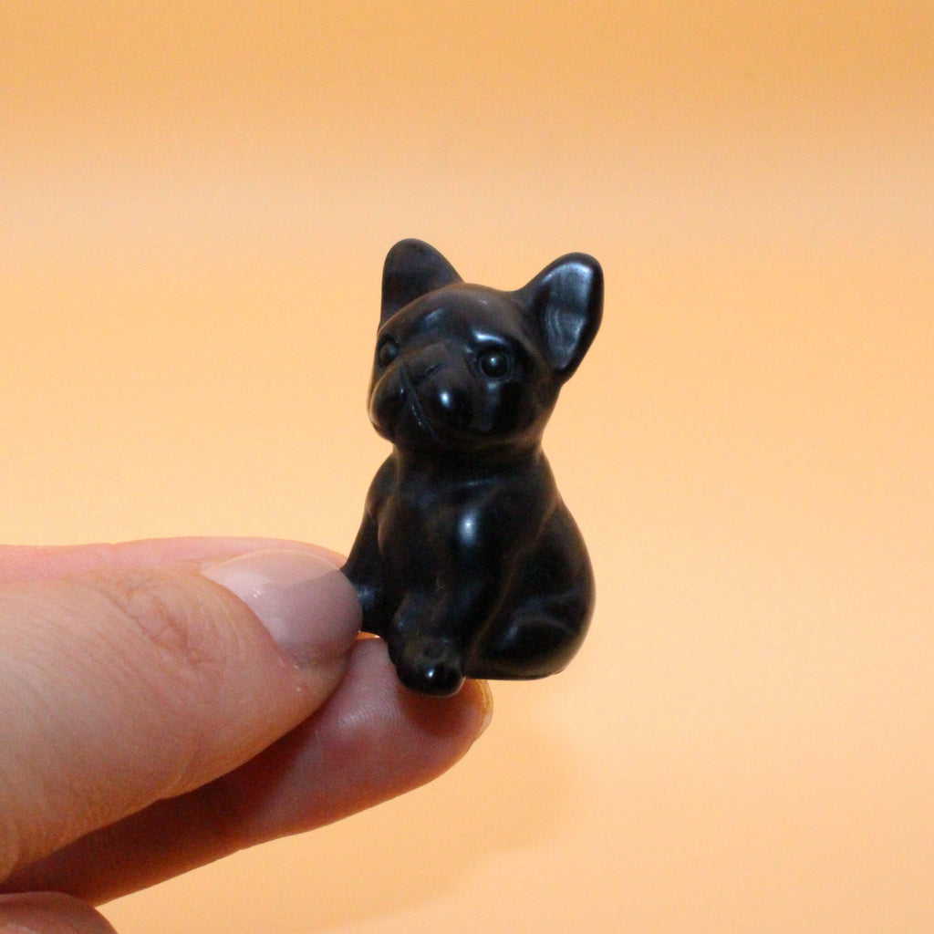 Mini Bulldog – Loyalty, Strength &amp; Protection