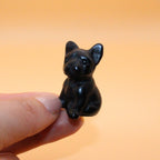 Mini Bulldog – Loyalty, Strength &amp; Protection