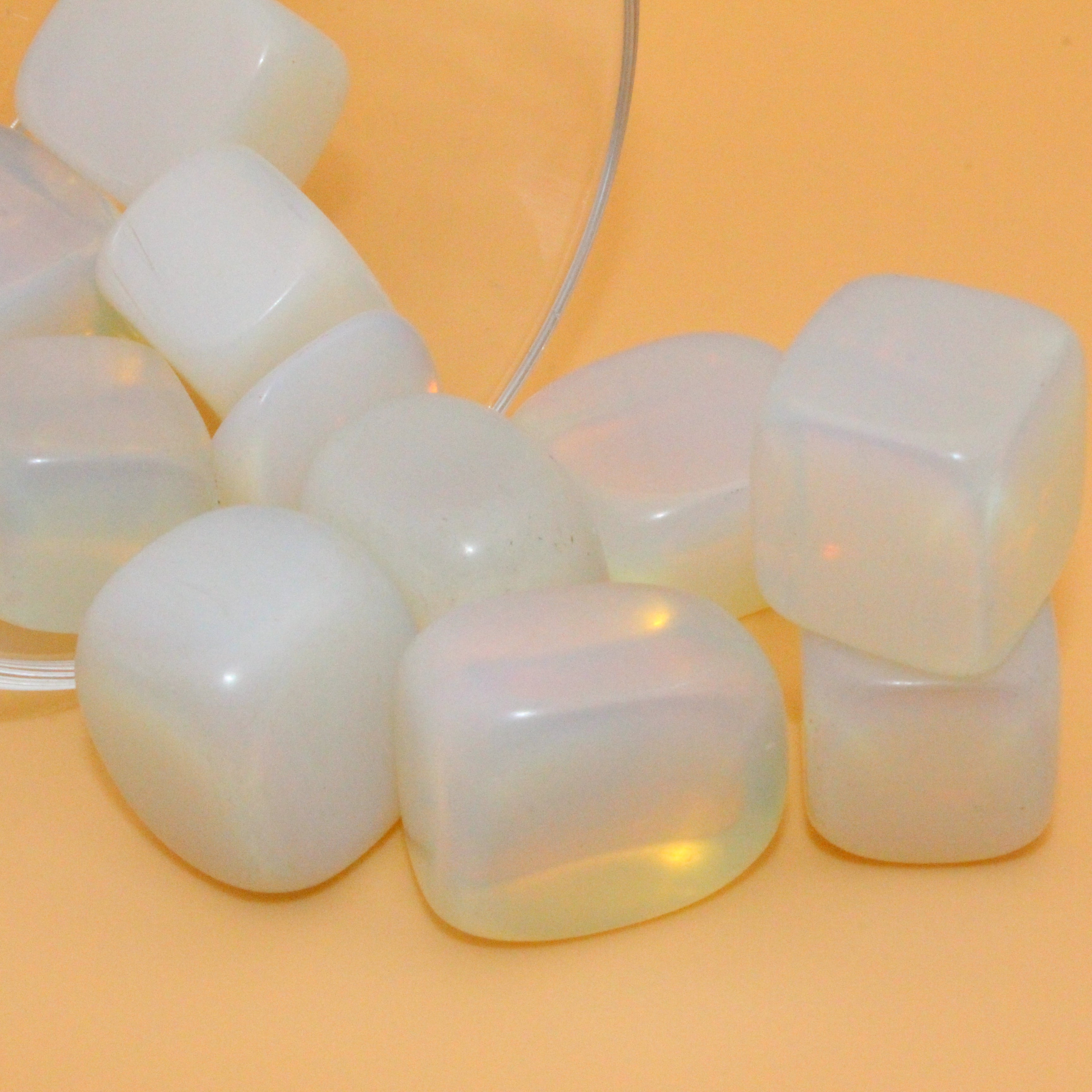 Fungo di cristallo di opalite – Energia delicata e luce
