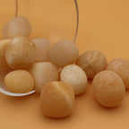 Fungo di cristallo di Unakite – Guarigione delicata ed equilibrio emotivo