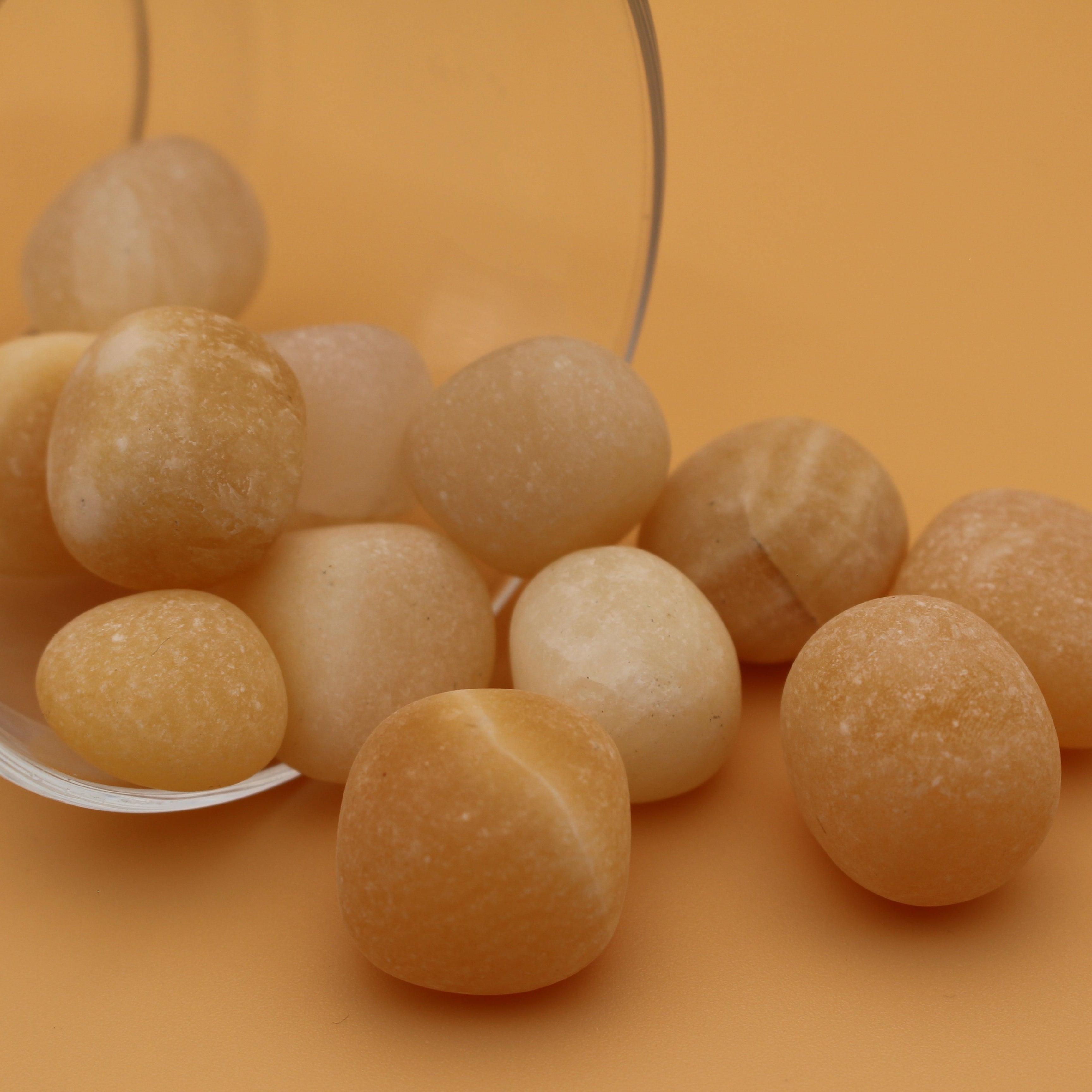 Fungo di cristallo di Unakite – Guarigione delicata ed equilibrio emotivo