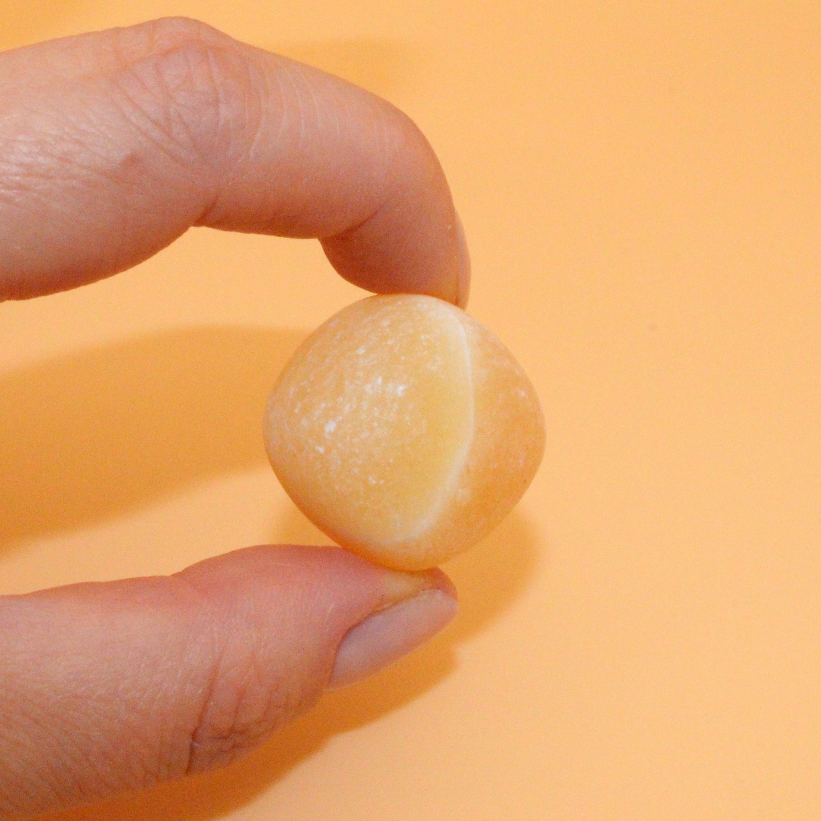 Fungo di cristallo di Unakite – Guarigione delicata ed equilibrio emotivo