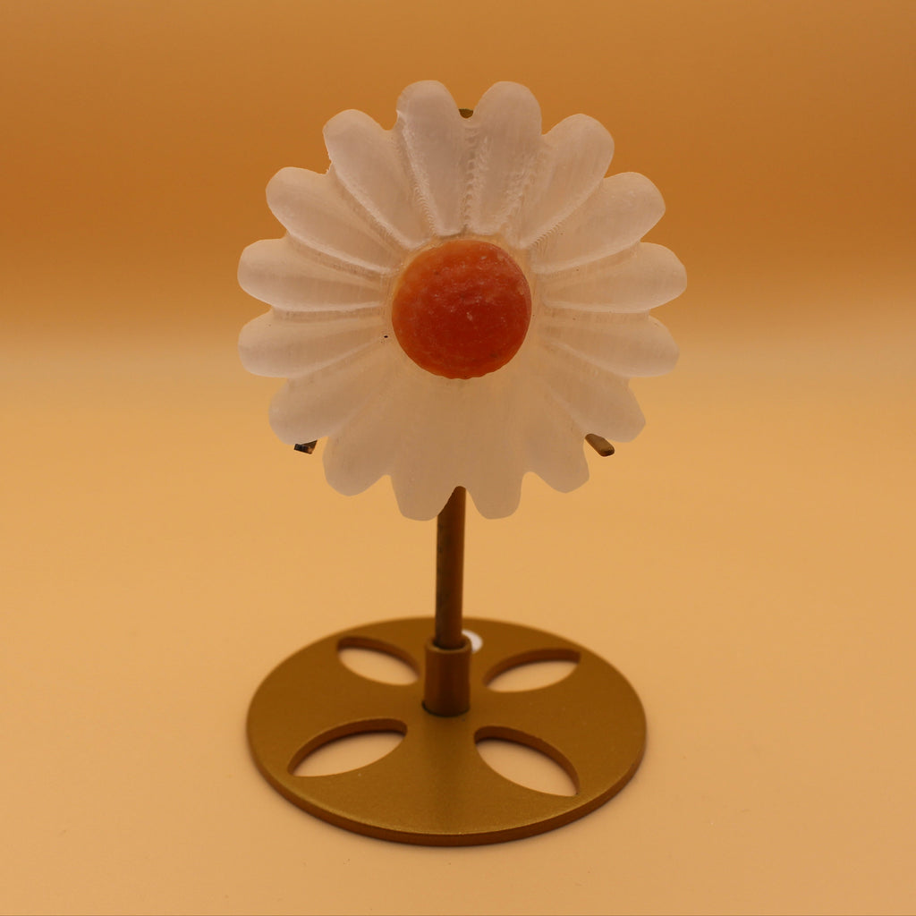 Selenit-Gänseblümchen mit orangefarbenem Calcit – Symbol für Reinheit & Lebensfreude