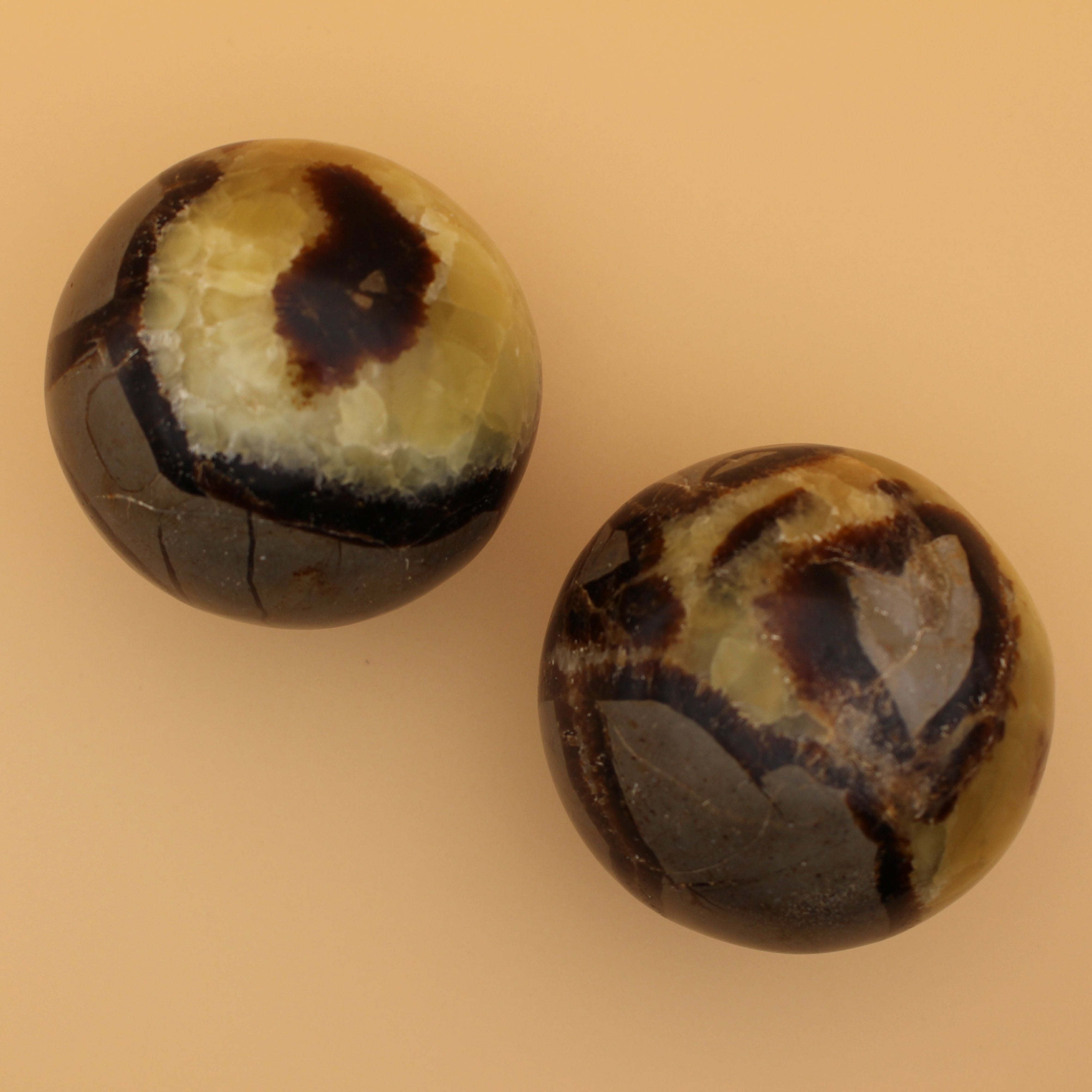Sfera Settaria – Potere di radicamento e antica saggezza in una struttura unica