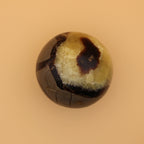Sfera Settaria – Potere di radicamento e antica saggezza in una struttura unica