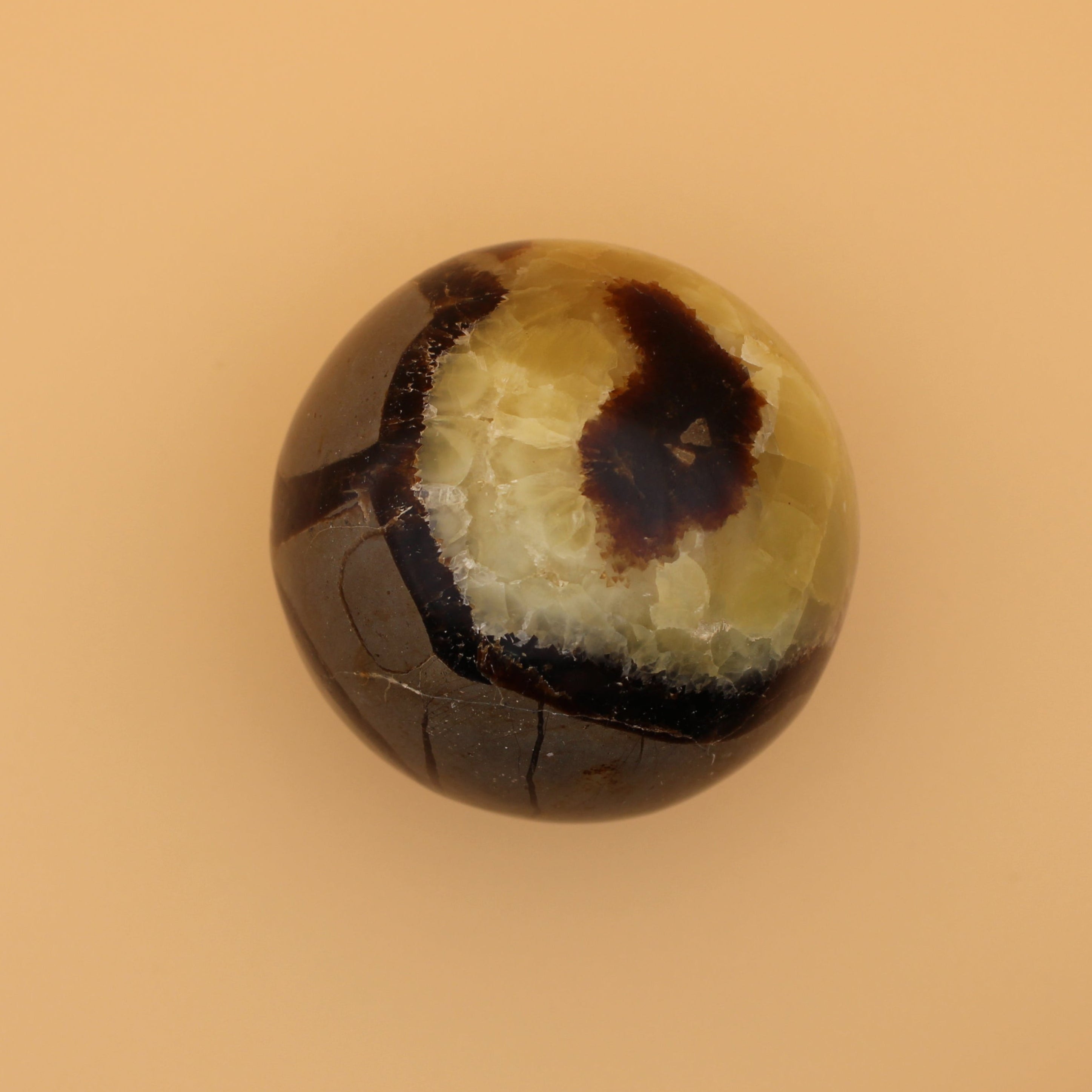 Sfera Settaria – Potere di radicamento e antica saggezza in una struttura unica