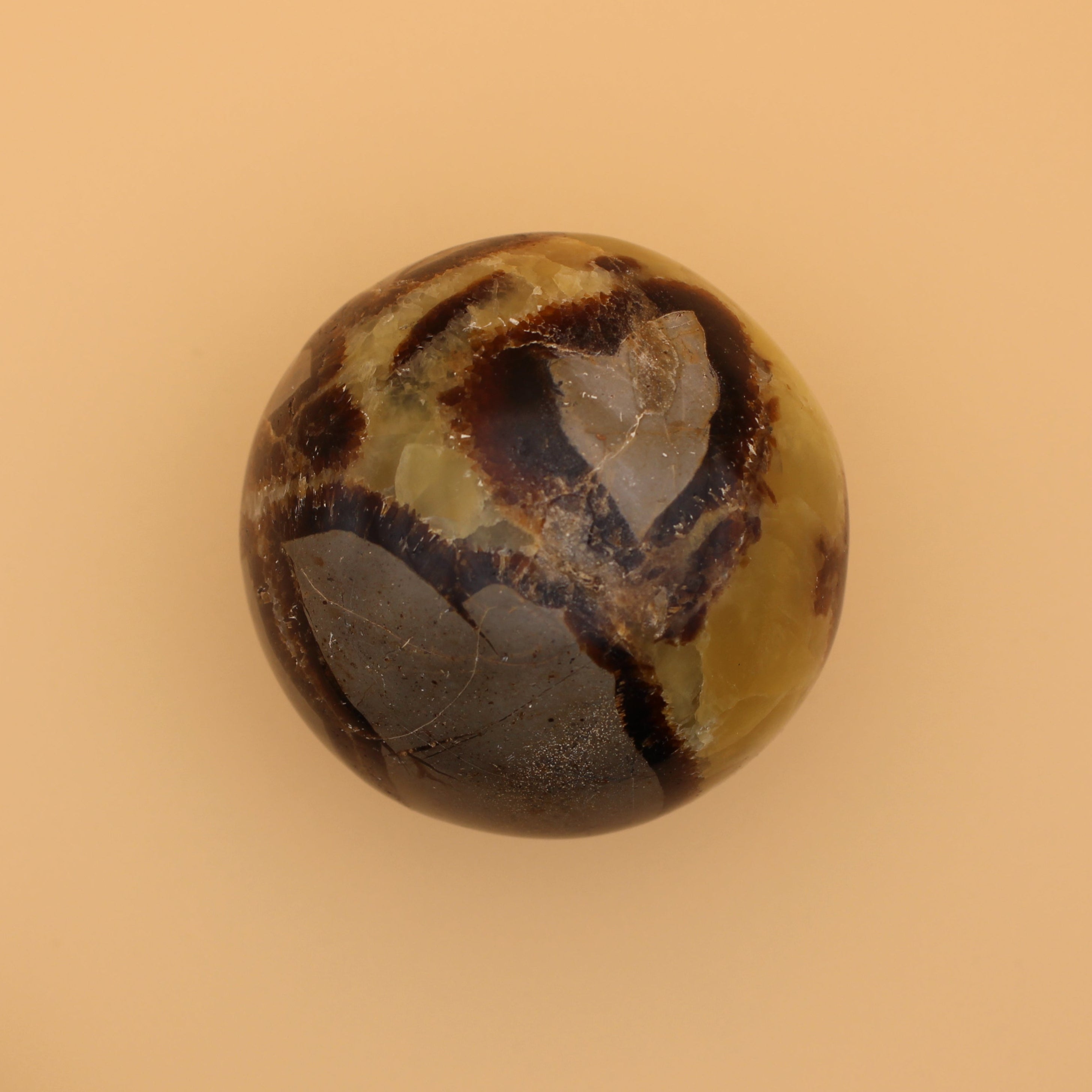Sfera Settaria – Potere di radicamento e antica saggezza in una struttura unica