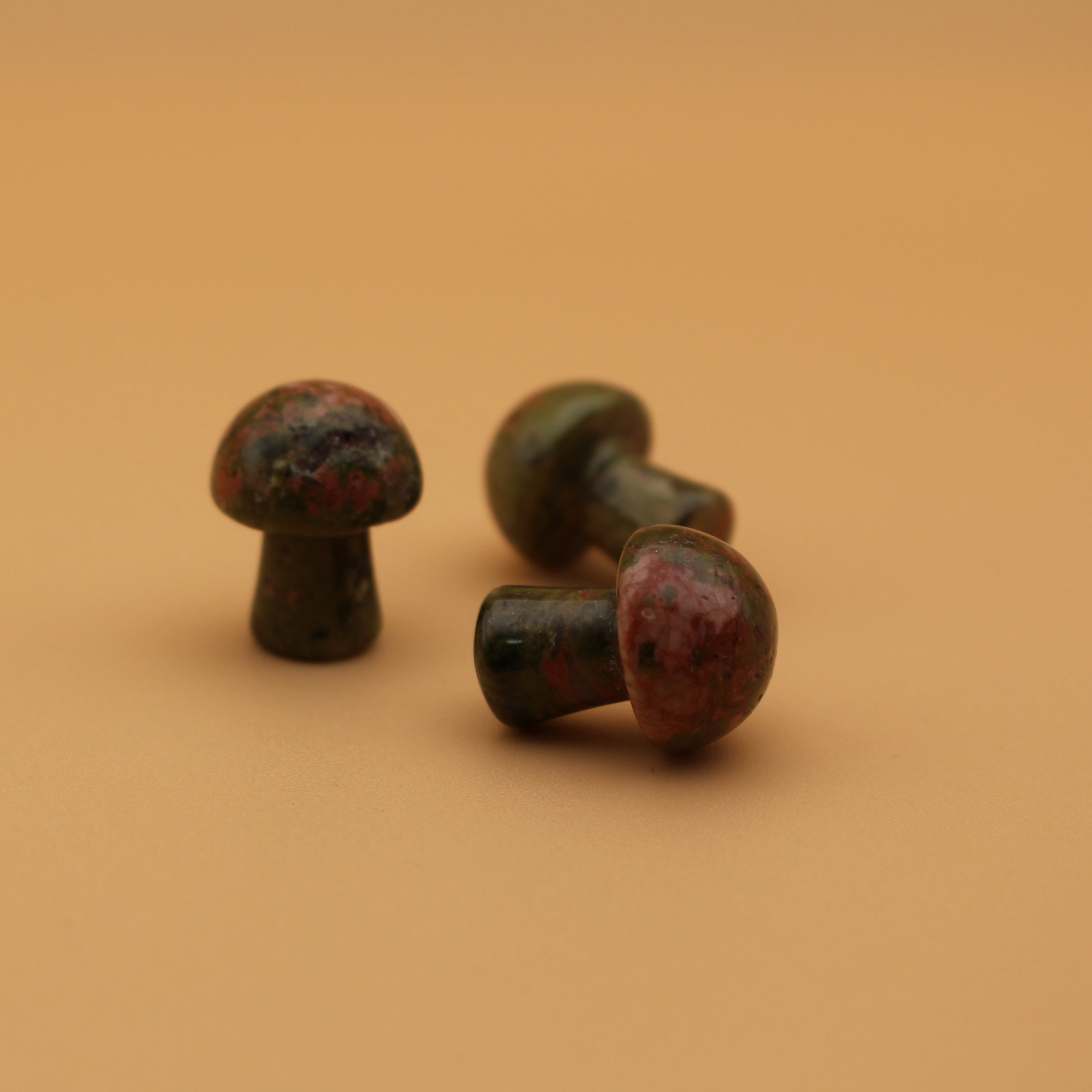Fungo di cristallo di Unakite – Guarigione delicata ed equilibrio emotivo